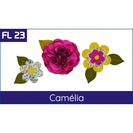 FL 23 Camélias