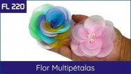 Capa Flor Multipétalas